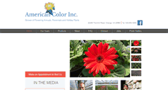 Desktop Screenshot of americancolorinc.com
