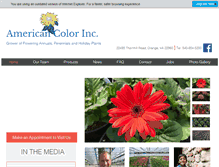 Tablet Screenshot of americancolorinc.com